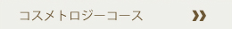 コスメトロジーコース